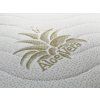 prevleka aloe vera